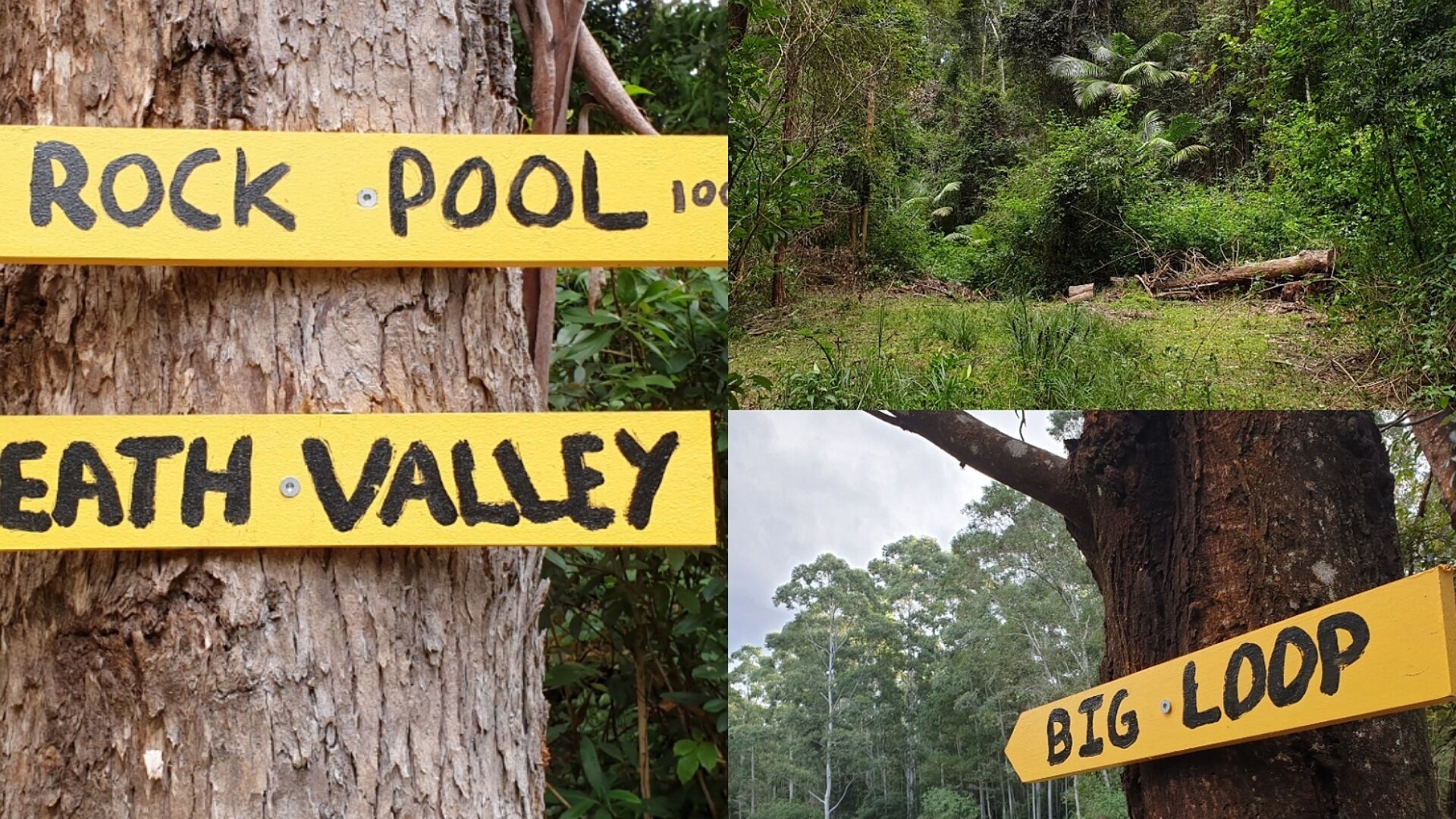 The Bucca Hideaway - Bush & Beach Experience