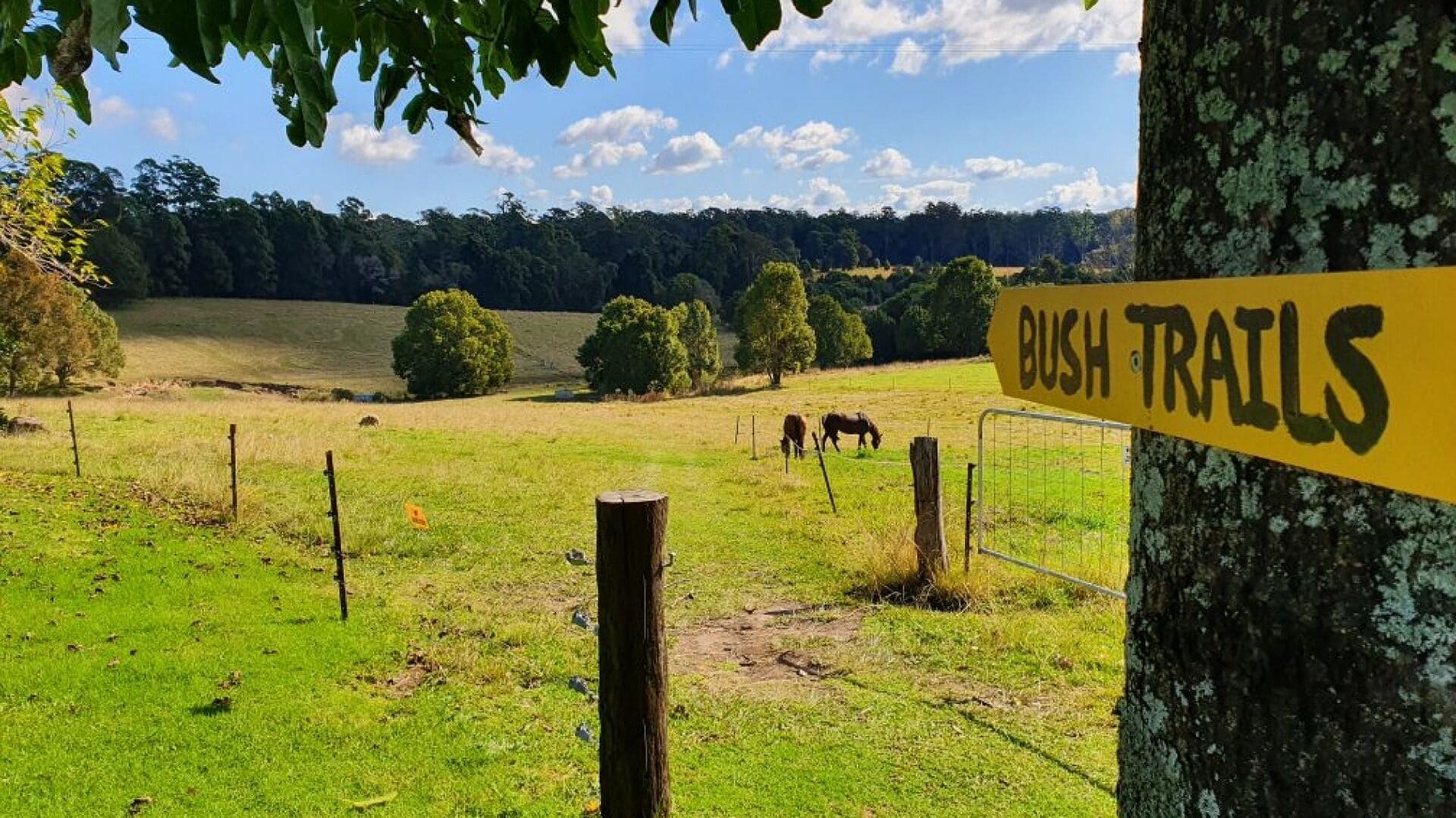 The Bucca Hideaway - Bush & Beach Experience