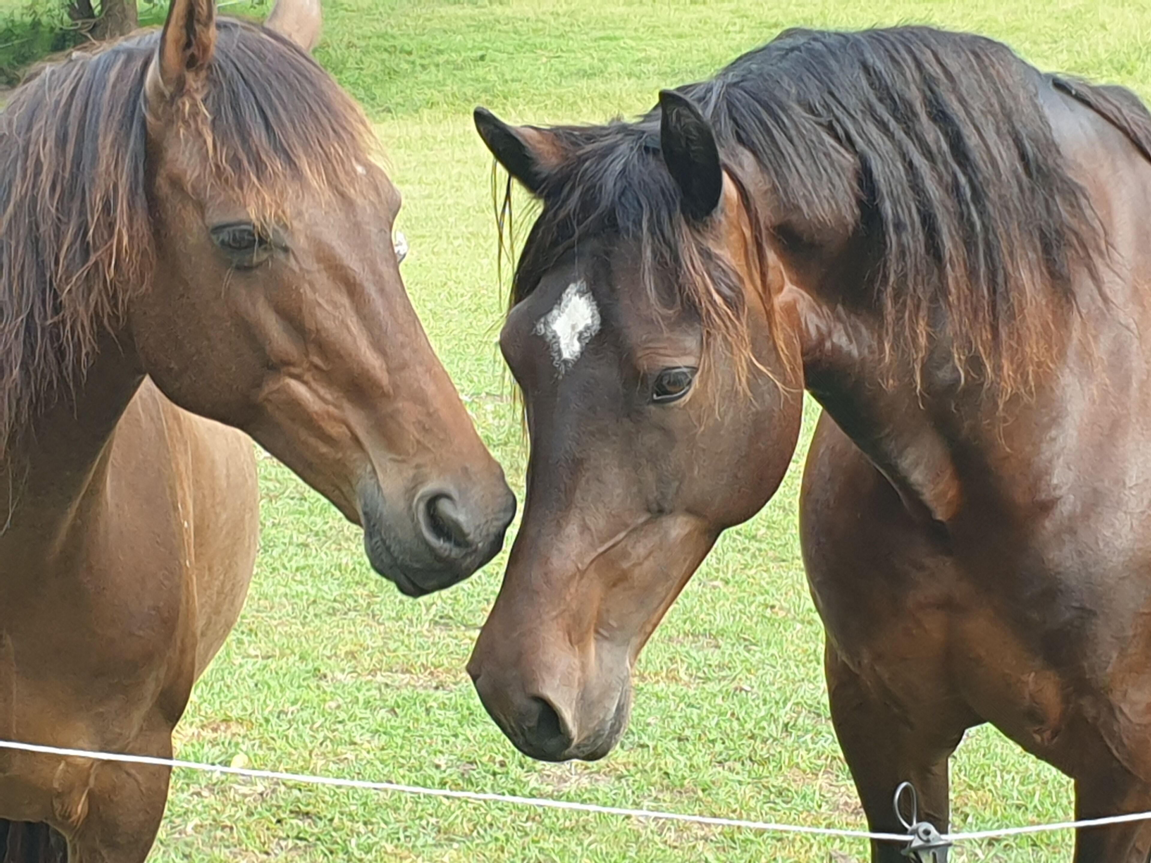 The Bucca Hideaway - Bush & Beach Experience