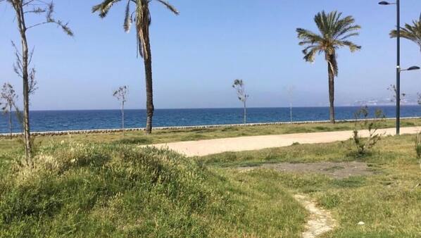 Strand