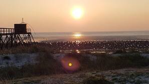 Beach nearby, white sand