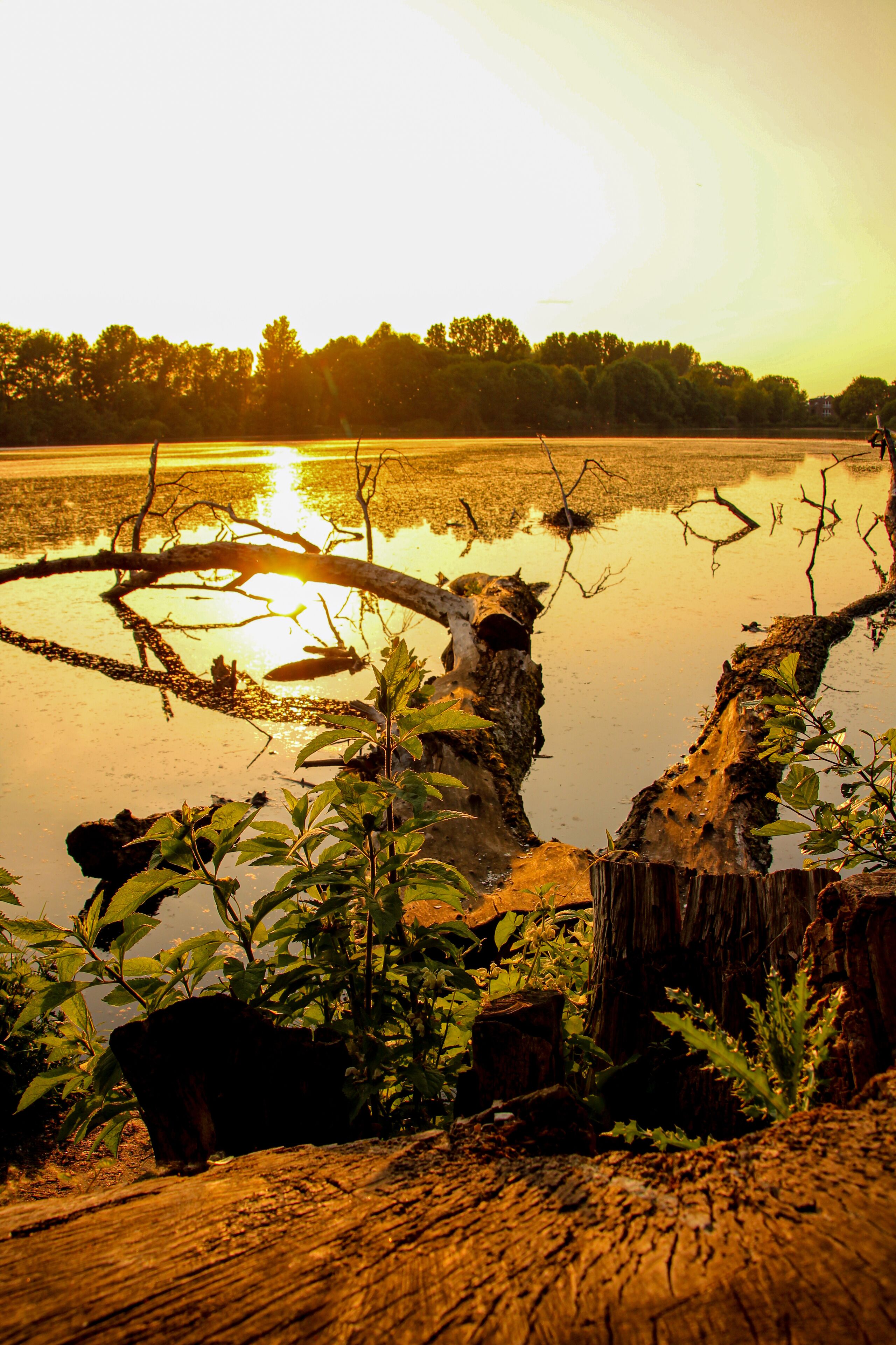Apartment With Terrace In Nettetal Nettetal Deu Expedia Co Nz