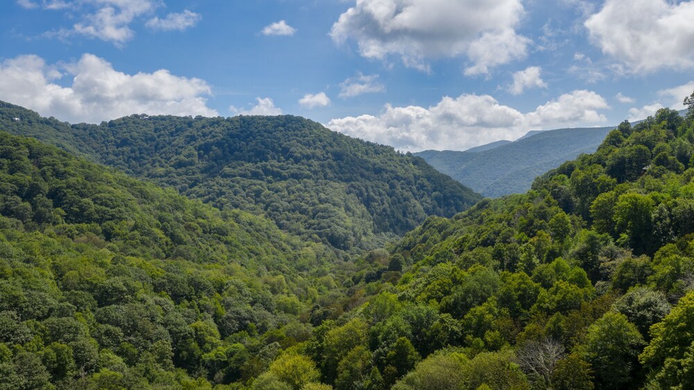 Cabin in the mountains with creek and elk located in Maggie Valley, NC.