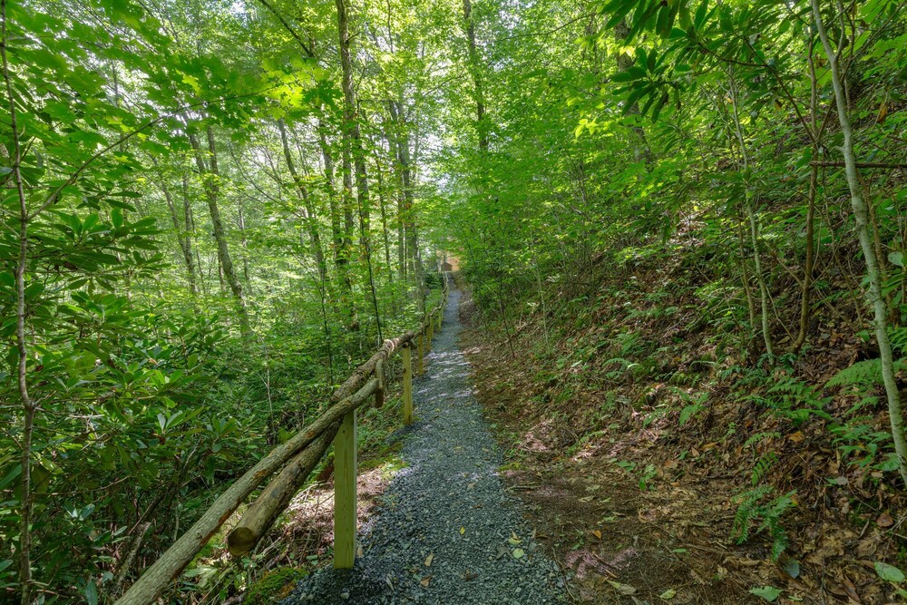 Cabin in the mountains with creek and elk located in Maggie Valley, NC.