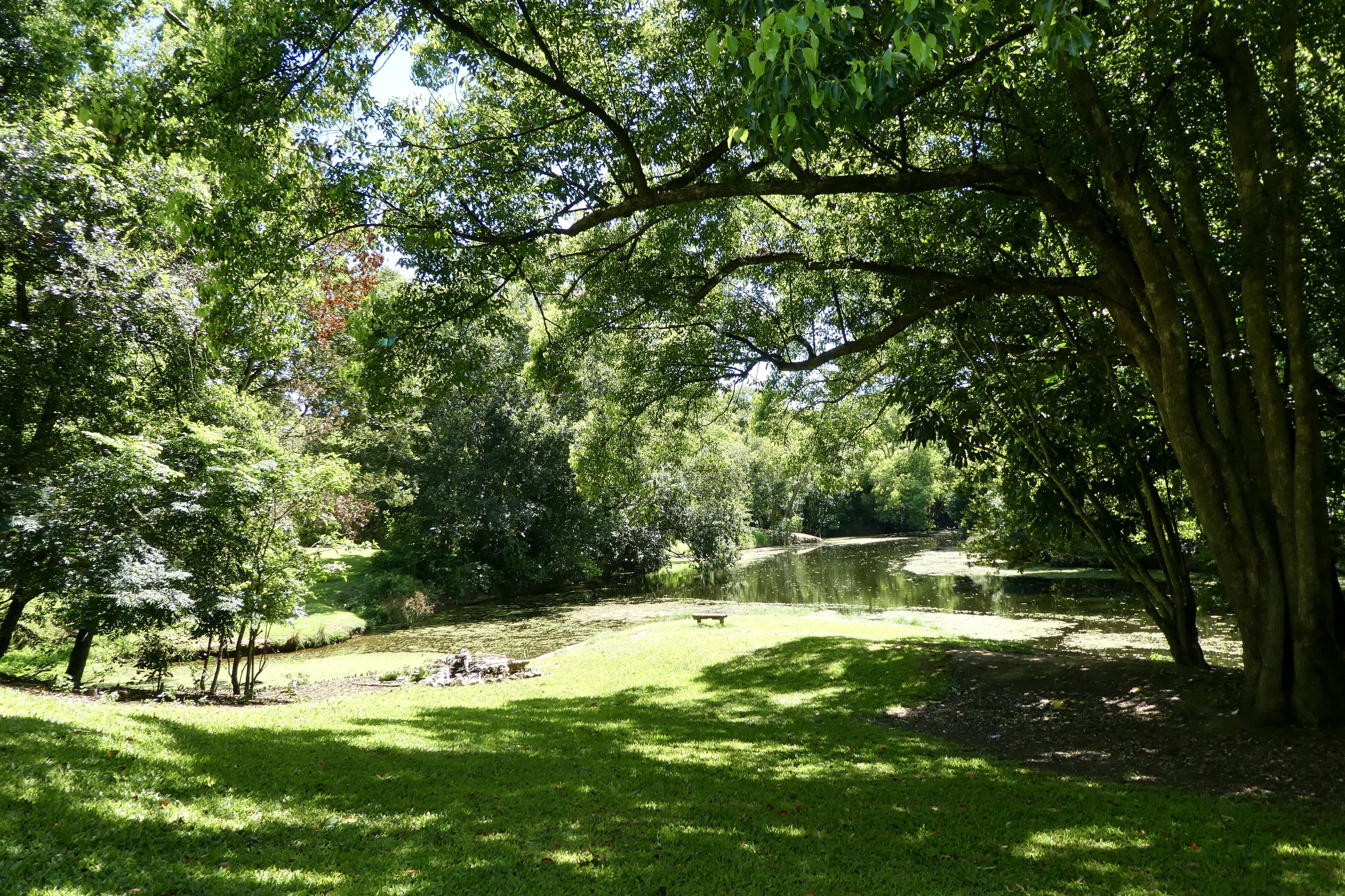 Relaxing Retreat by the River