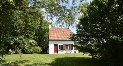 Detached Ouddorp Home with Enormous Garden near Beach