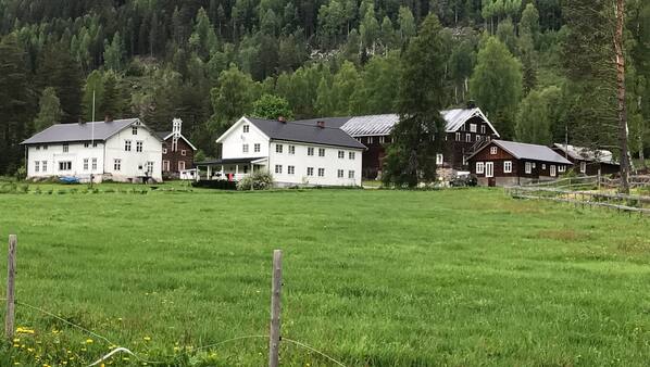 Utvalgt bilde