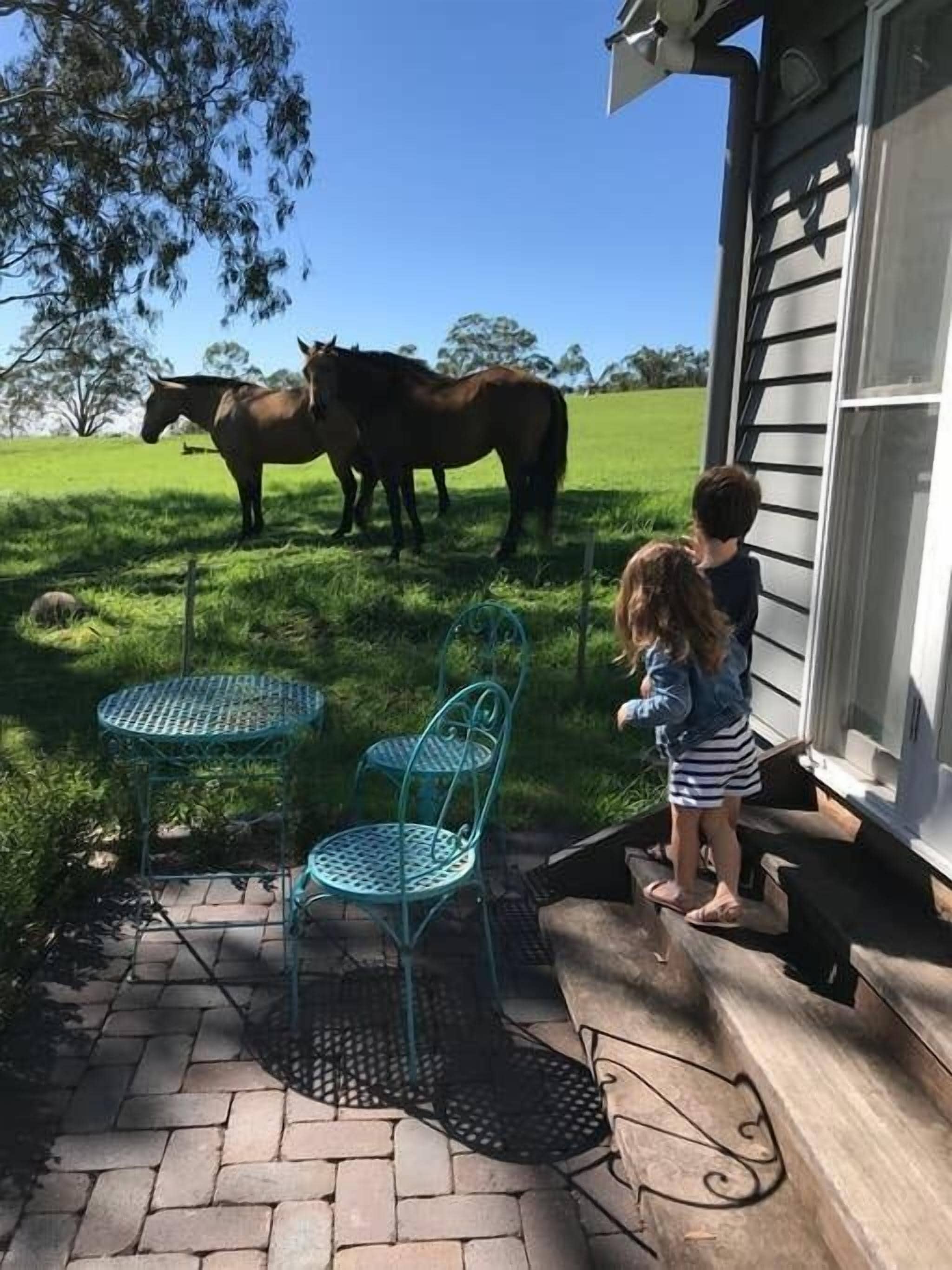 Hollow Tree Farm - Peace and Quiet on 30 Acres Right in Toowoomba