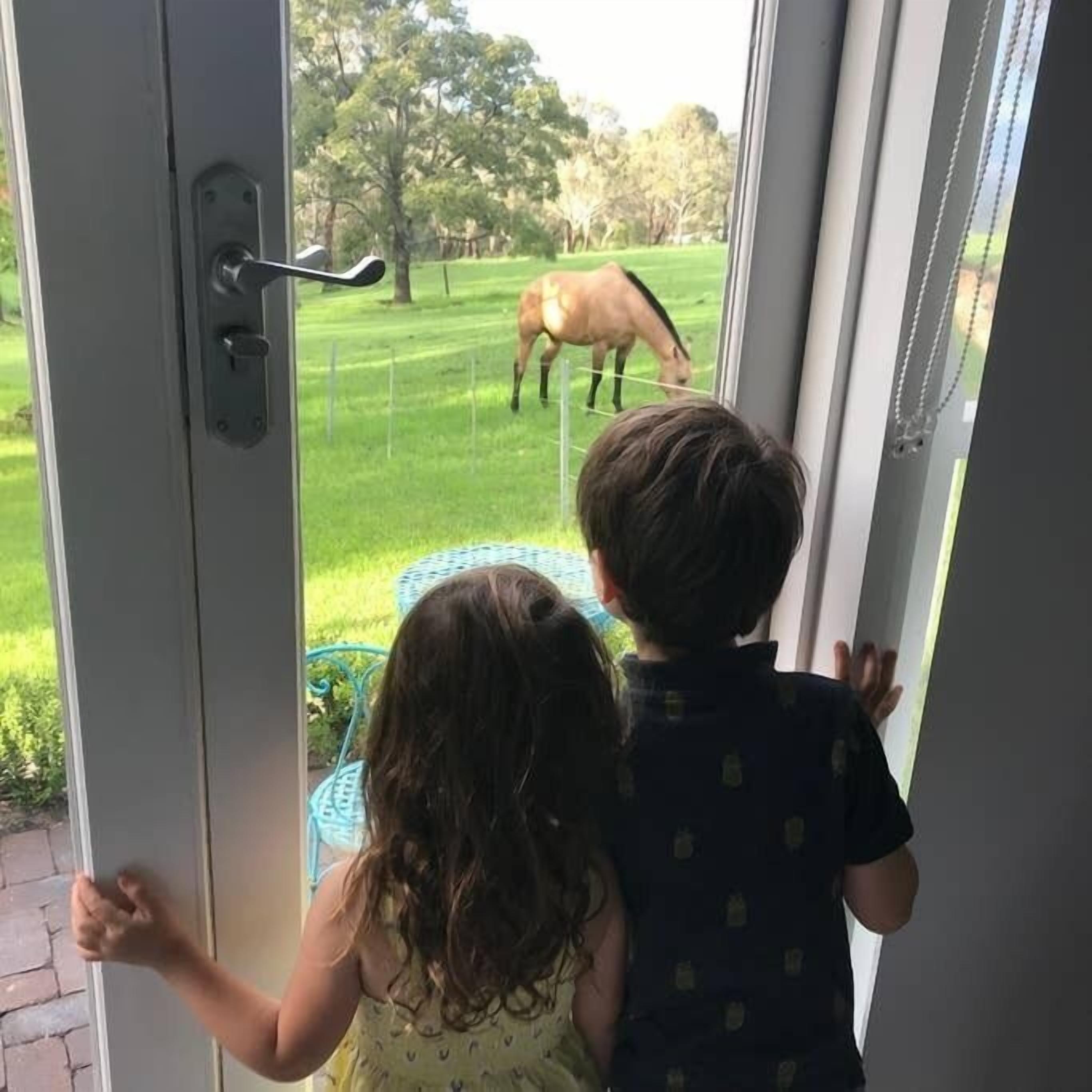 Hollow Tree Farm - Peace and Quiet on 30 Acres Right in Toowoomba