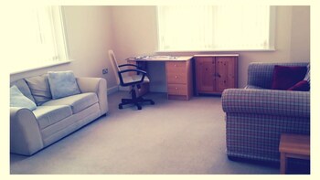 the old teddy bear shop