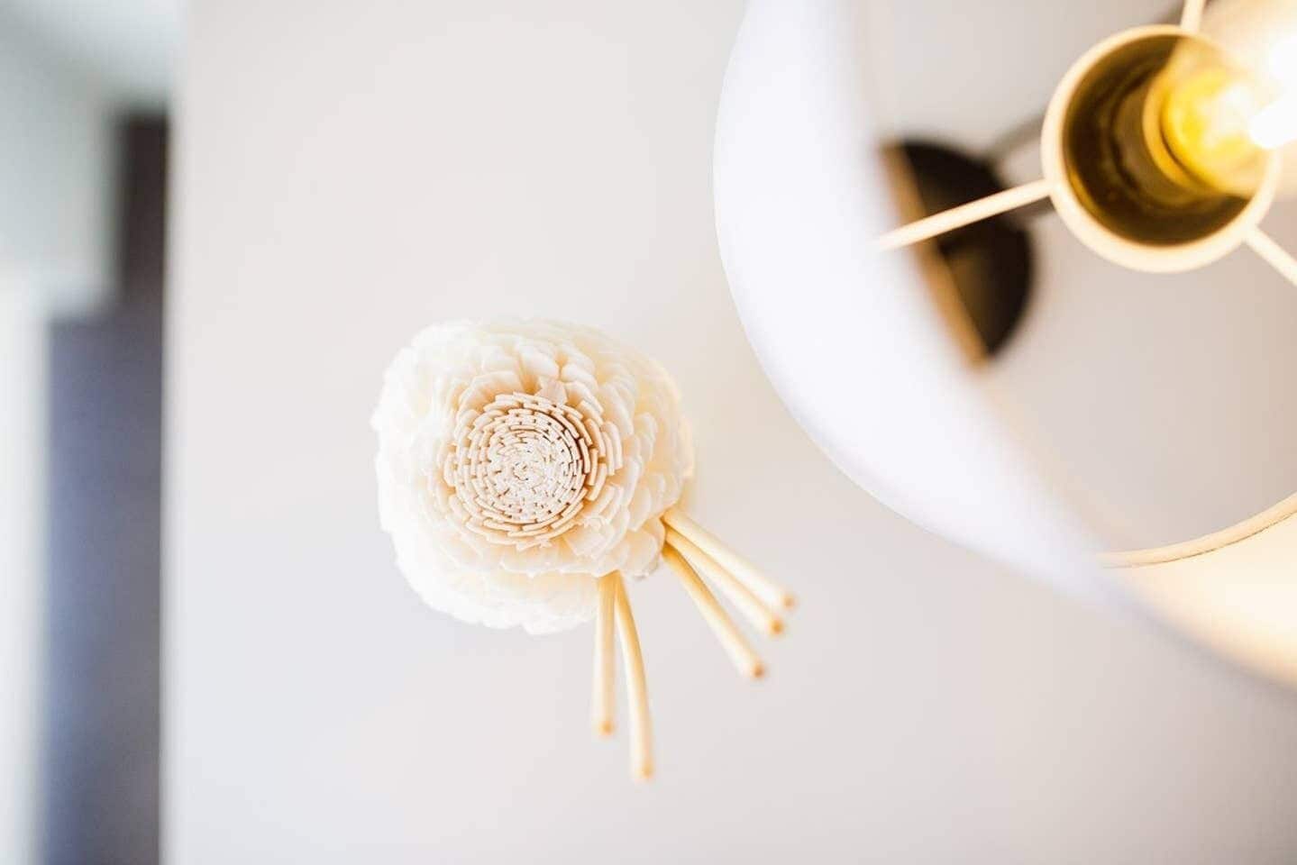 Modern Chiq Home w/ Free Parking & Netflix