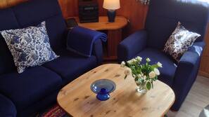 Fernseher, Kamin, DVD-Player
