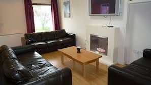 LCD TV, fireplace