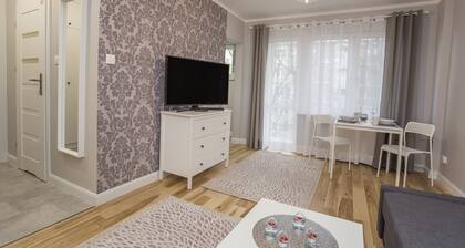 Central Rental Apartament - Broniewskiego 15