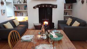TV, fireplace, DVD player, books