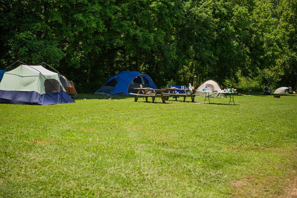 Cabin, camping, and one mile of Niangua river to explore at this