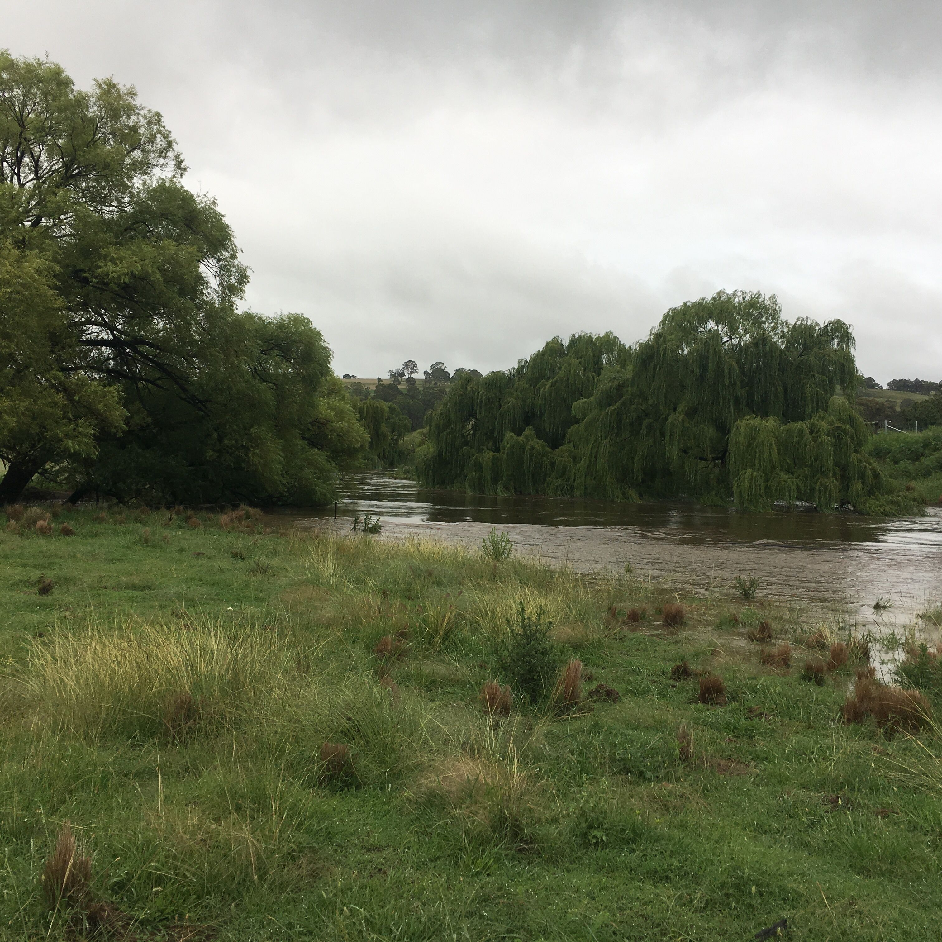 Relaxing Peaceful Well Equipped Farm Stay