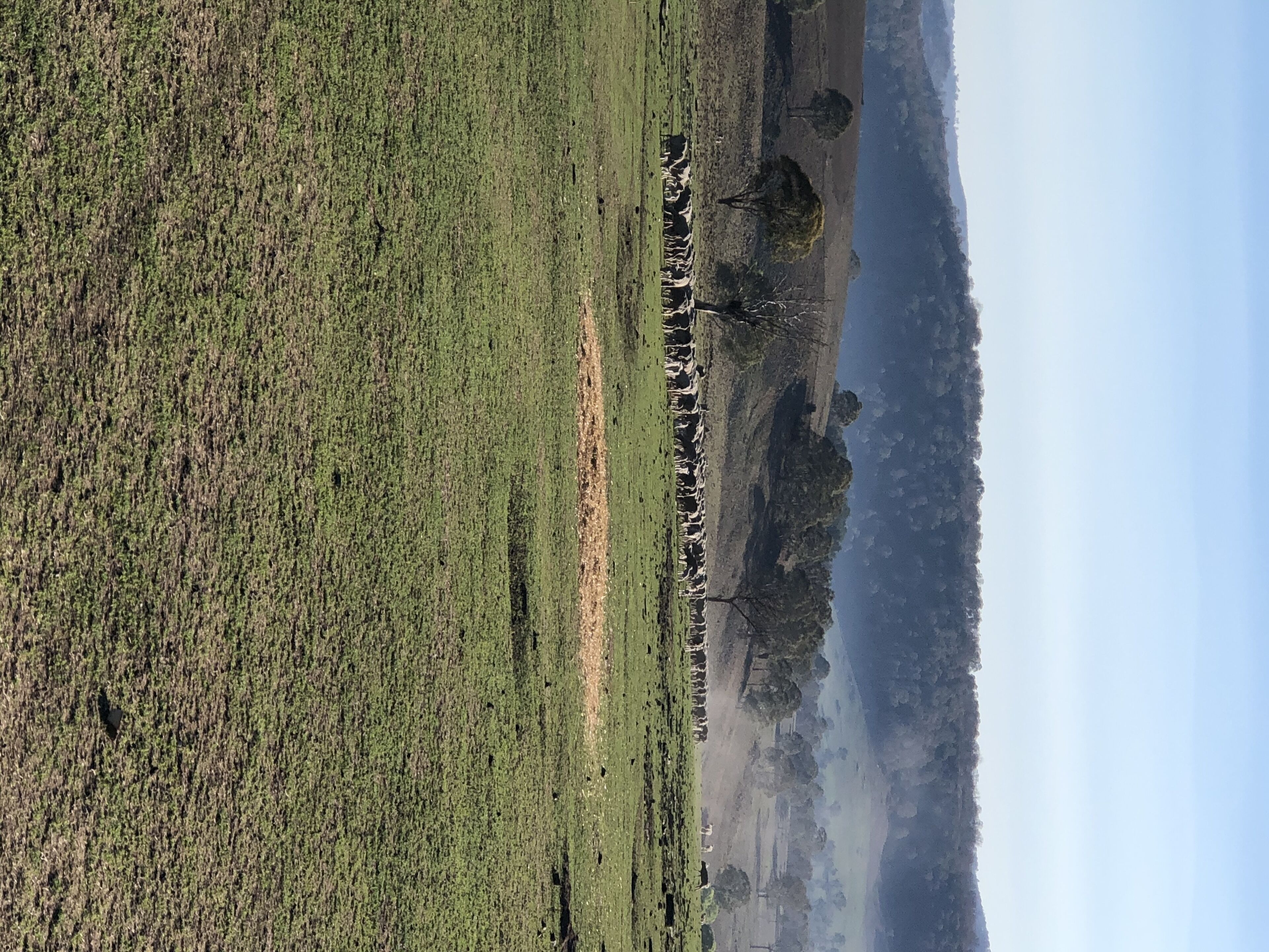 Relaxing Peaceful Well Equipped Farm Stay