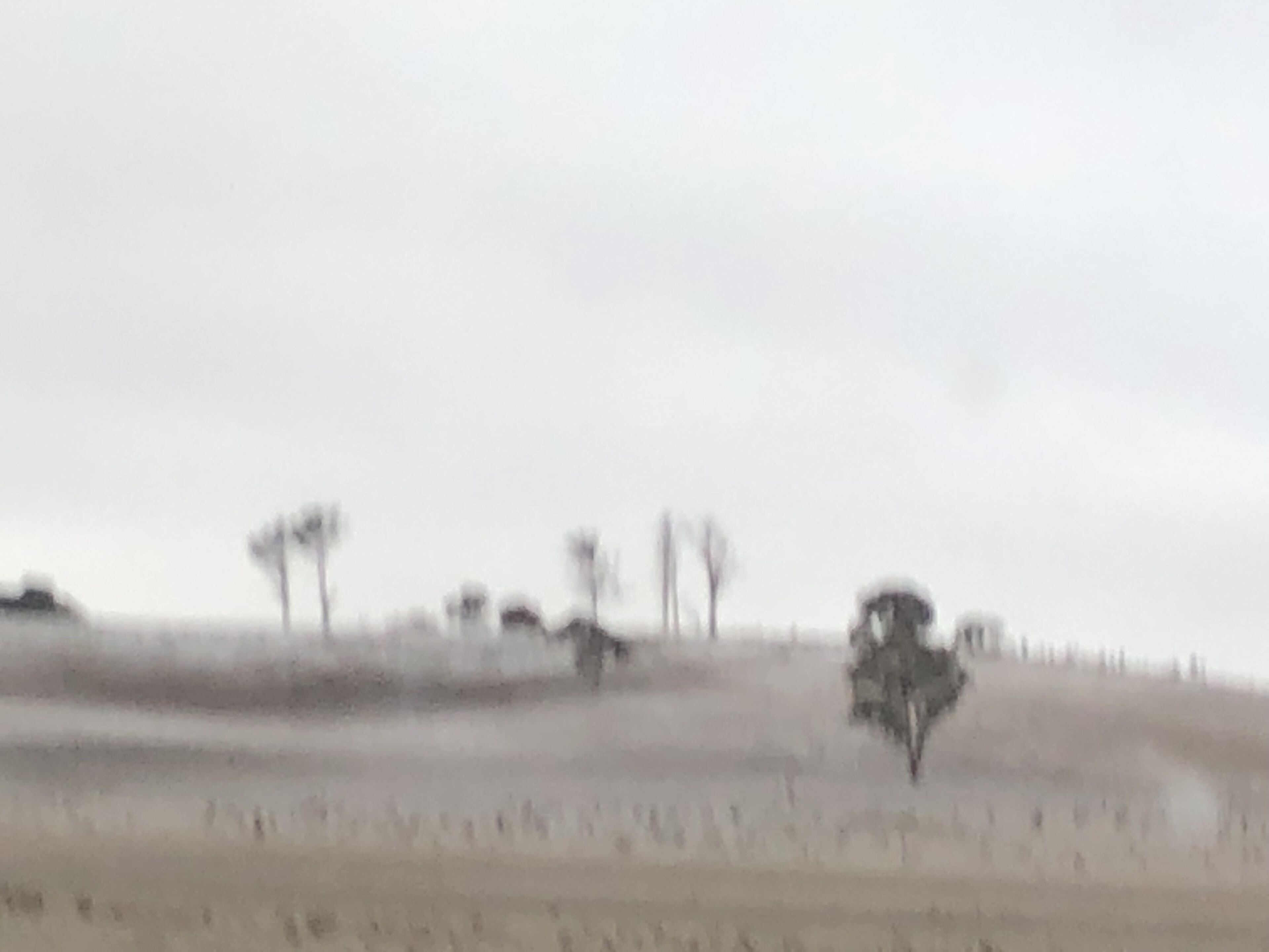 Relaxing Peaceful Well Equipped Farm Stay