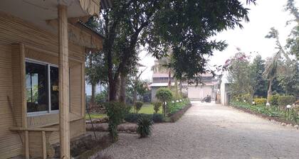 Hotel Tress House