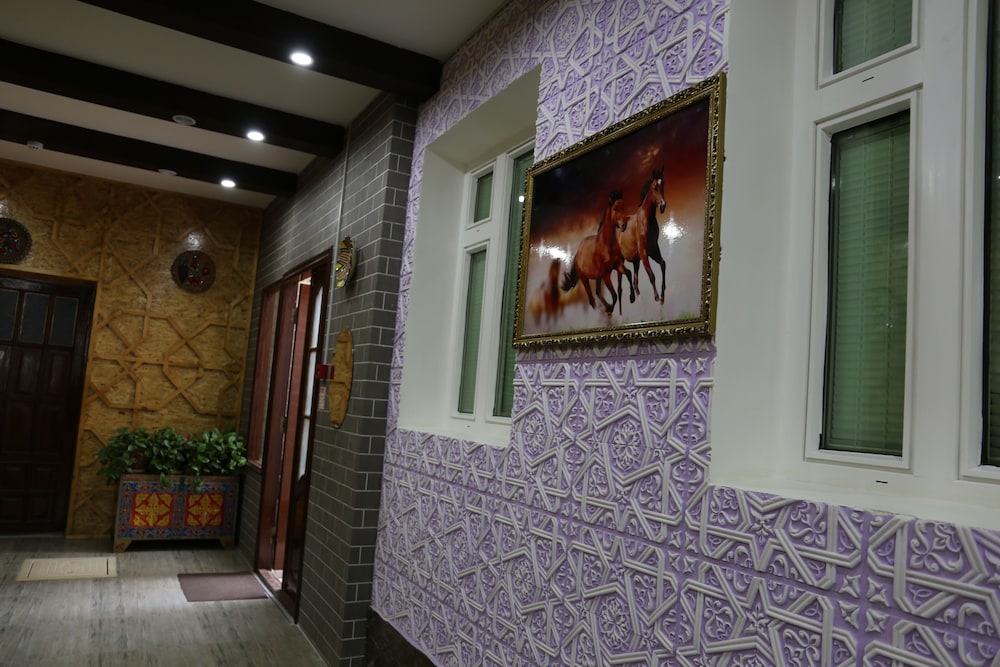 Photo - Hotel & Hostel Gallery