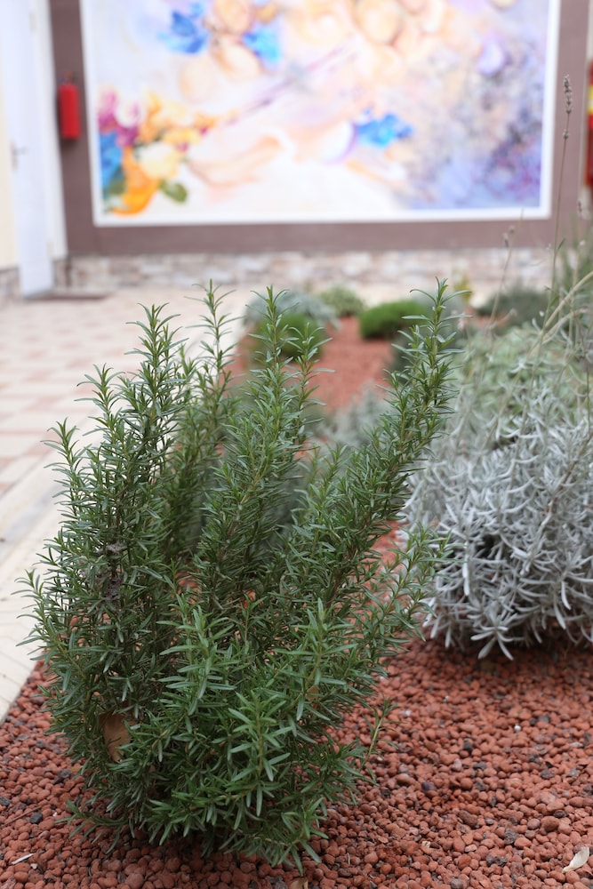 Photo - Hotel & Hostel Gallery