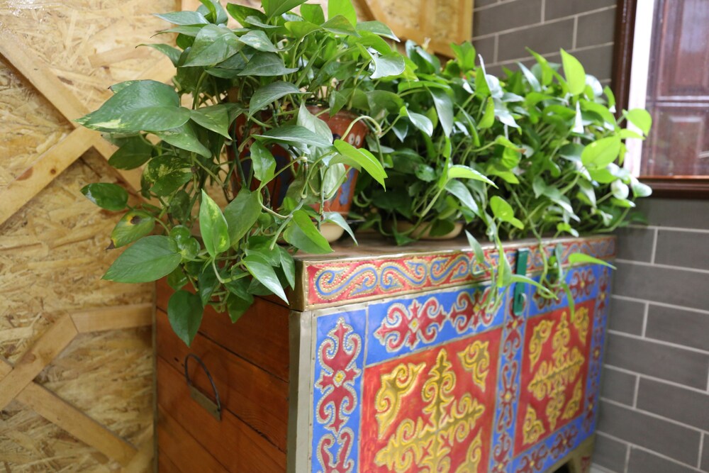 Photo - Hotel & Hostel Gallery