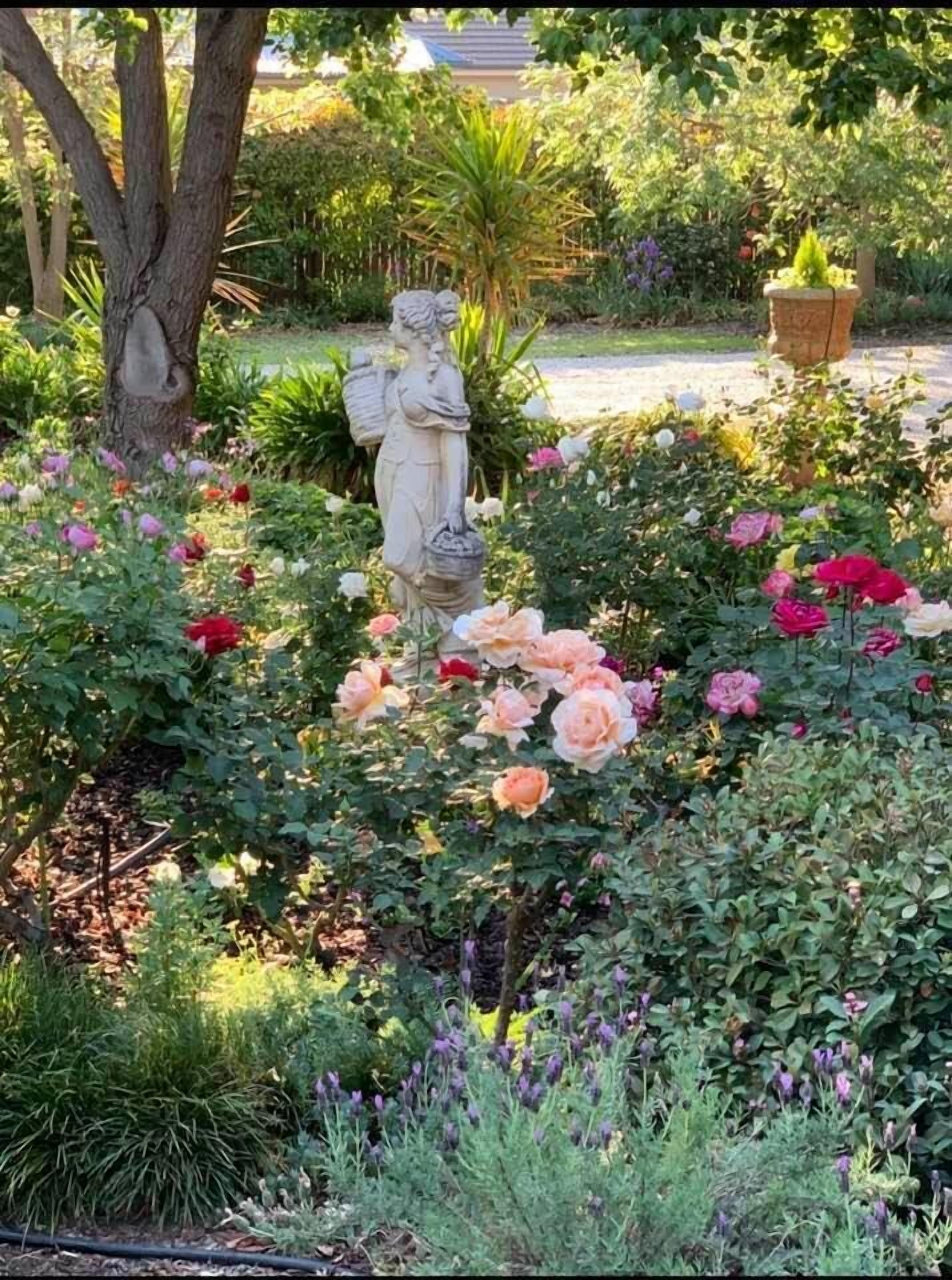 Forgandenny Bed & Breakfast