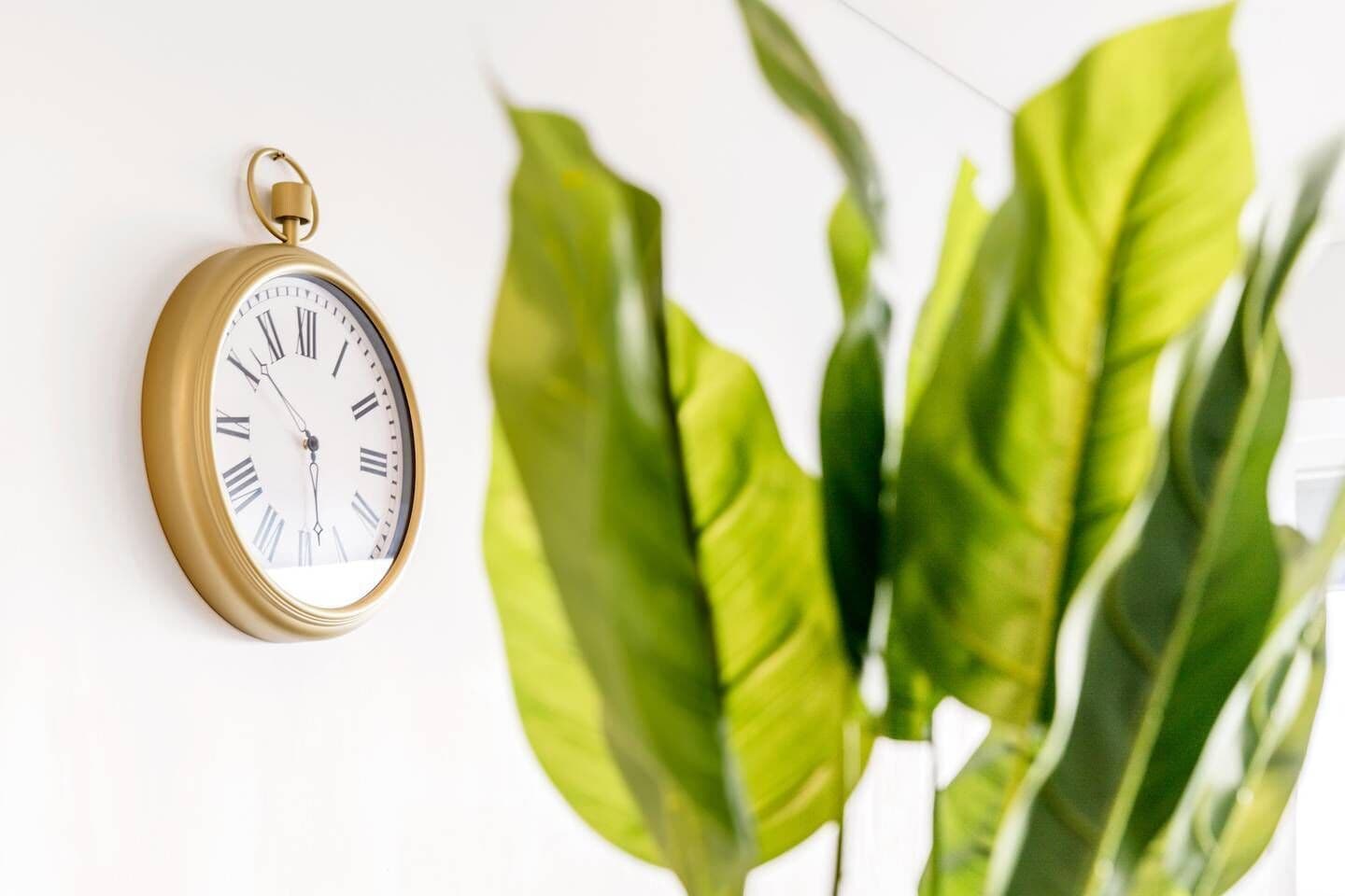 High Lvl River View Brisbane CBD +parking