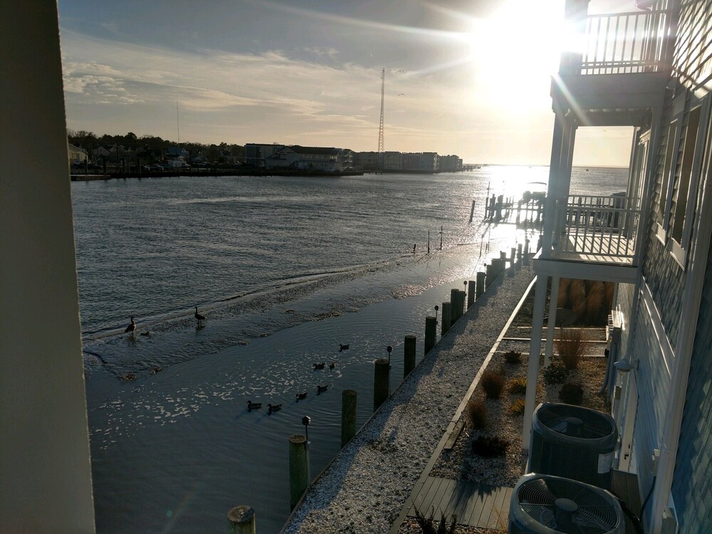 STUNNING WATERFRONT VIEWS! Chincoteague Vrbo