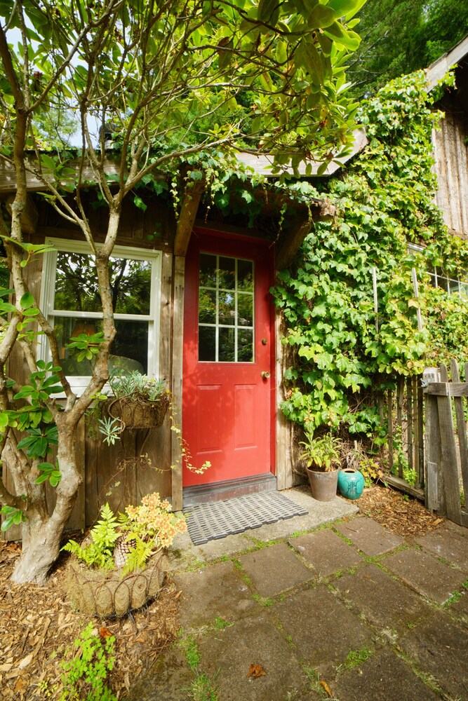 Enchanted  Cottage in the Redwoods