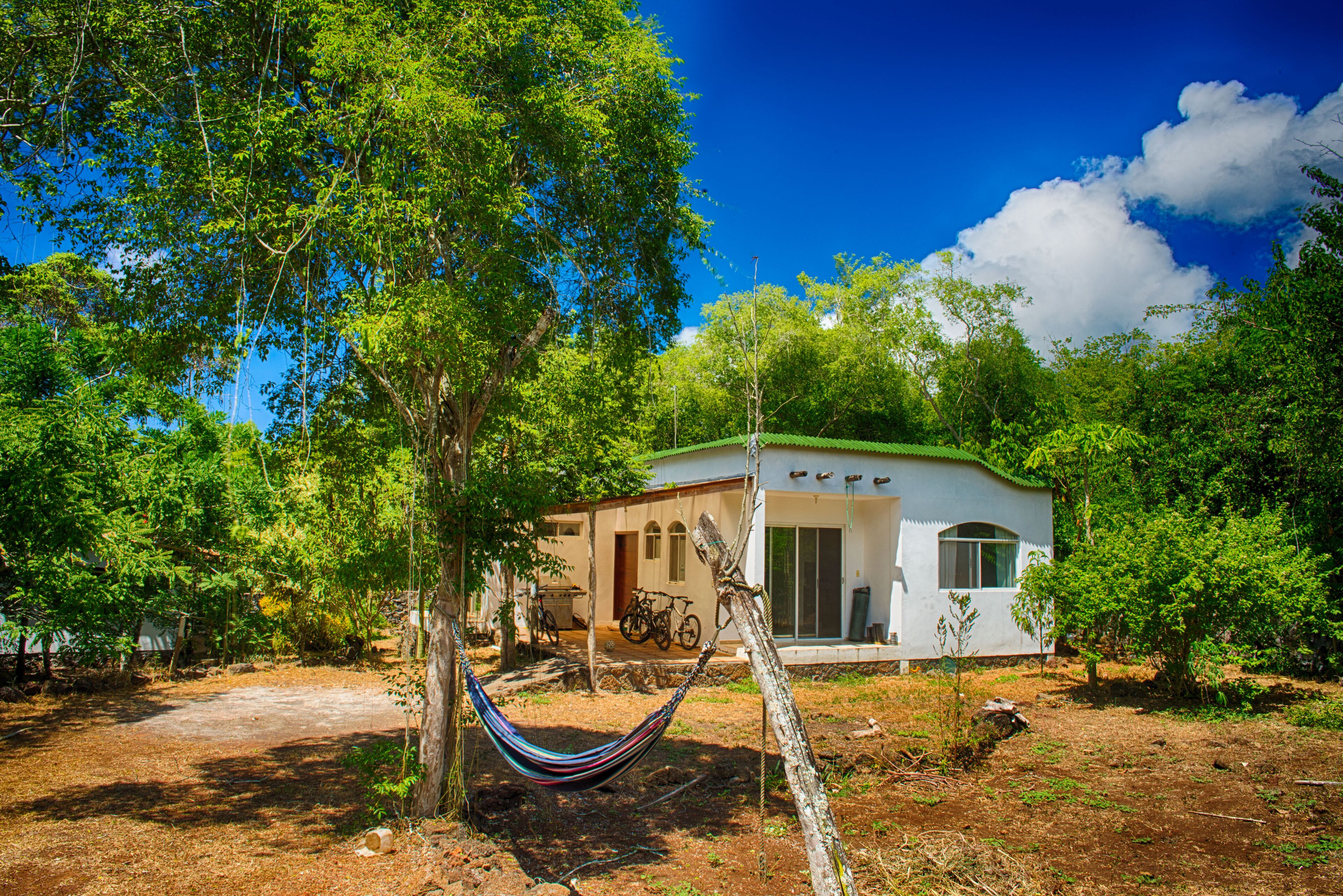 ガラパゴスの森の中の居心地の良い部屋 口コミ 部屋写真 料金 お得情報 エクスペディア