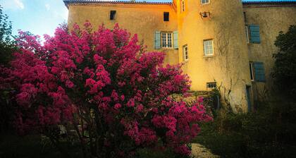 Chateau Gros Puy