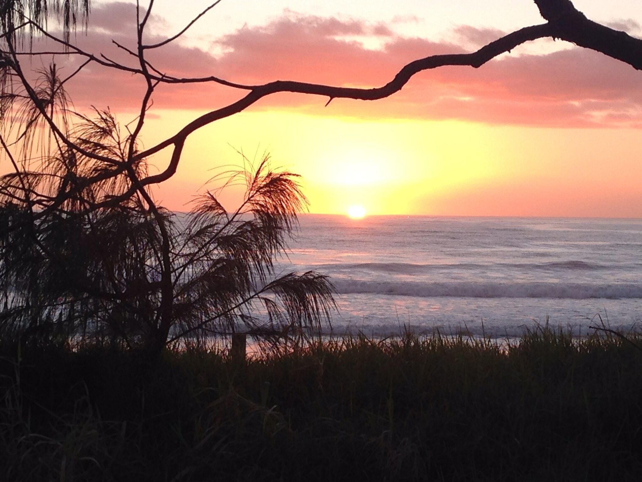 Aloha Alex Beach House Pet-friendly - 450m From the Beach!