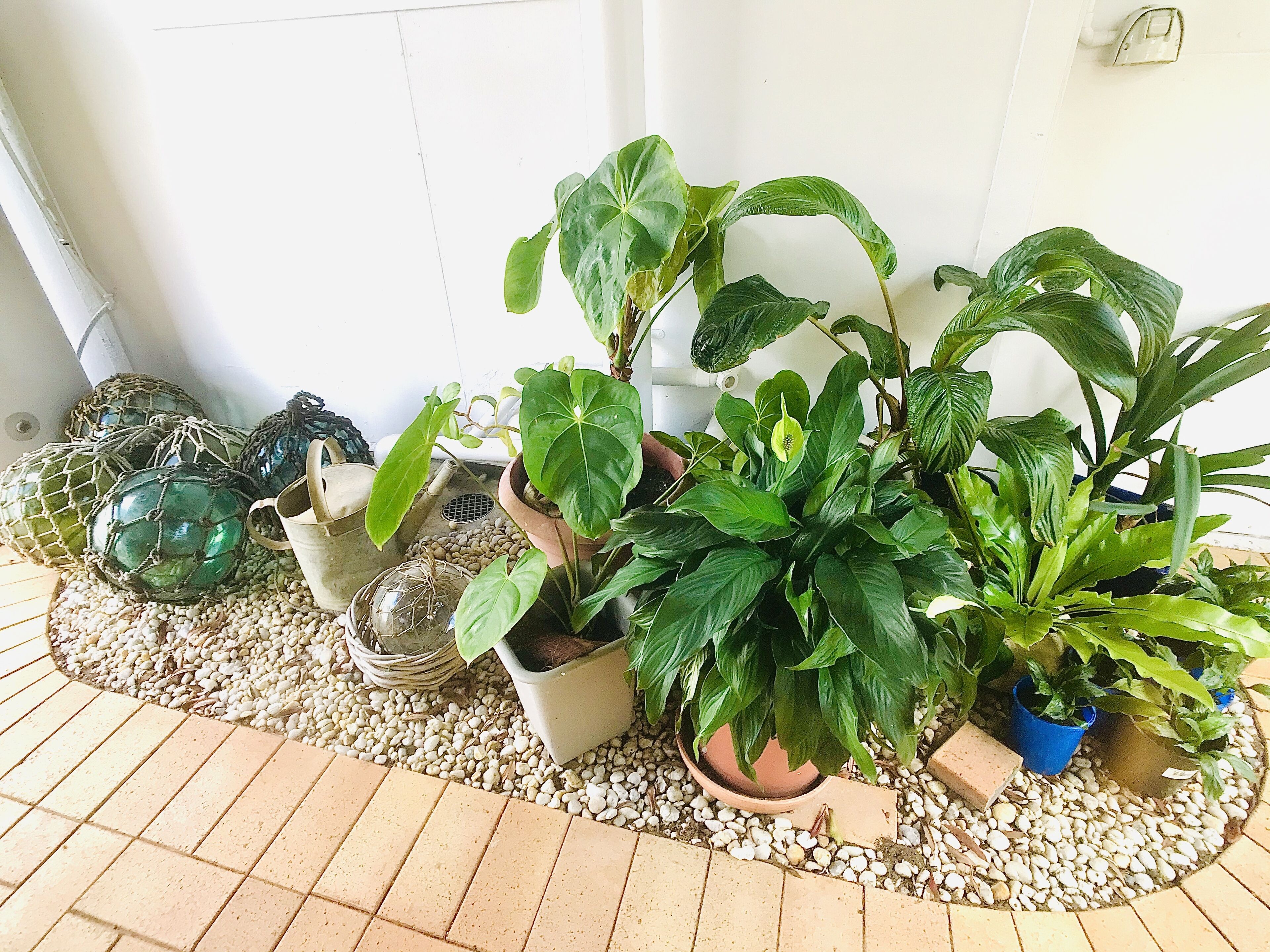 Aloha Alex Beach House Pet-friendly - 450m From the Beach!