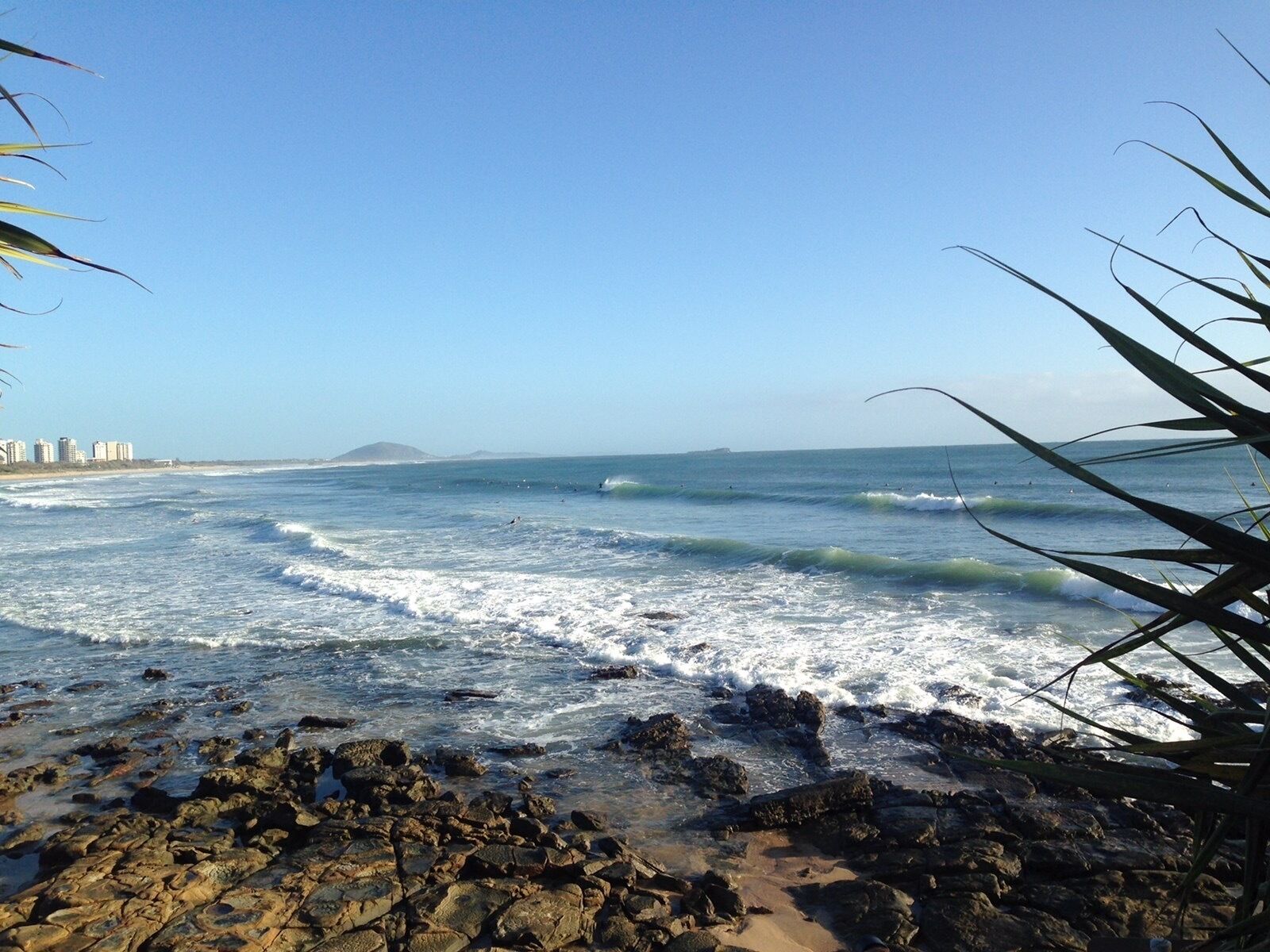 Aloha Alex Beach House Pet-friendly - 450m From the Beach!