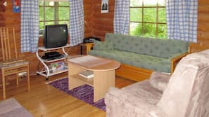 Televisio, DVD-soitin