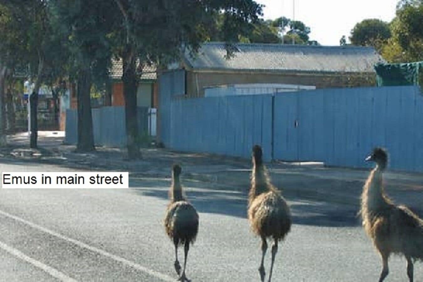 Flinders Ranges Bed and Breakfast