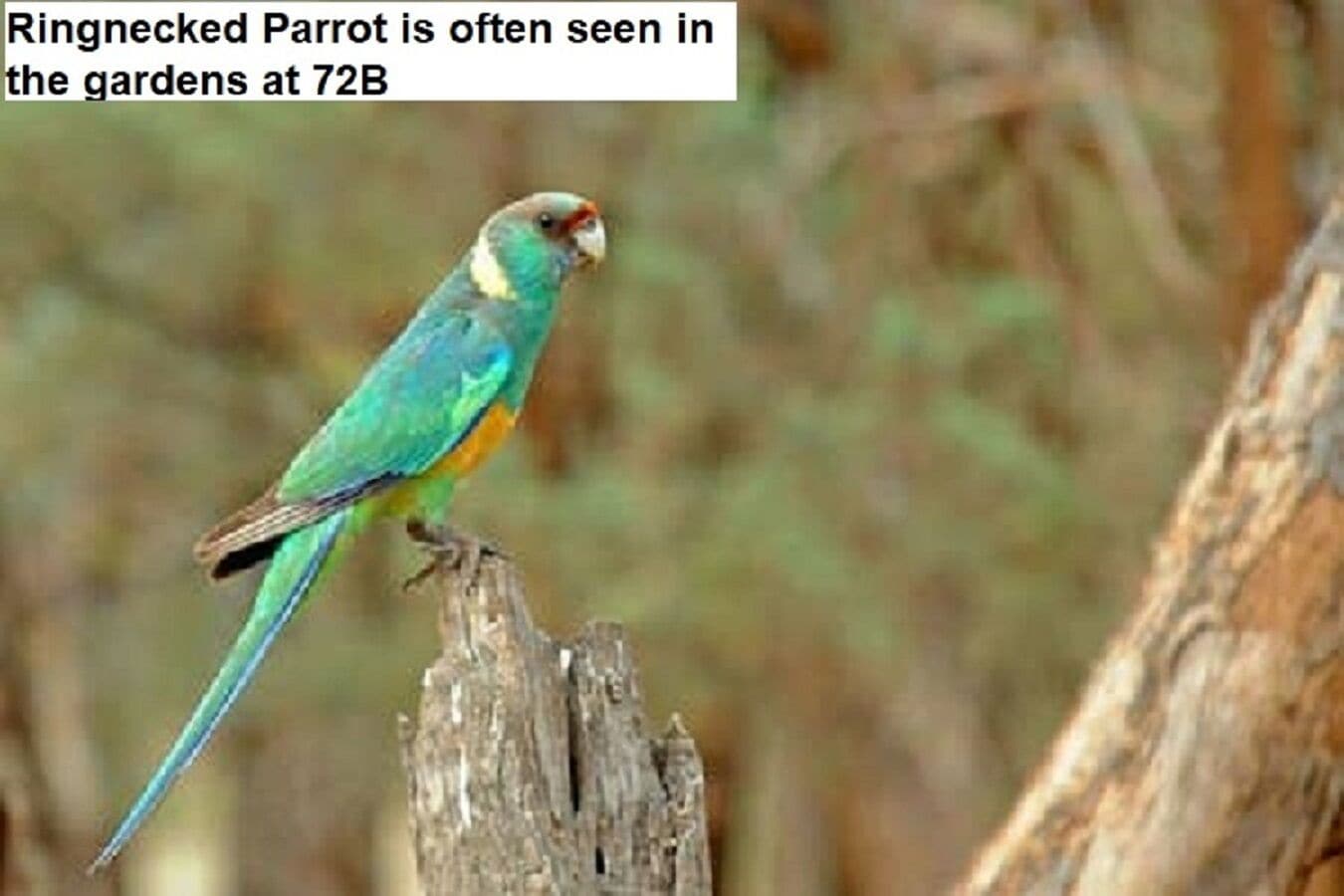 Flinders Ranges Bed and Breakfast