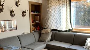 TV, fireplace, DVD player, video library