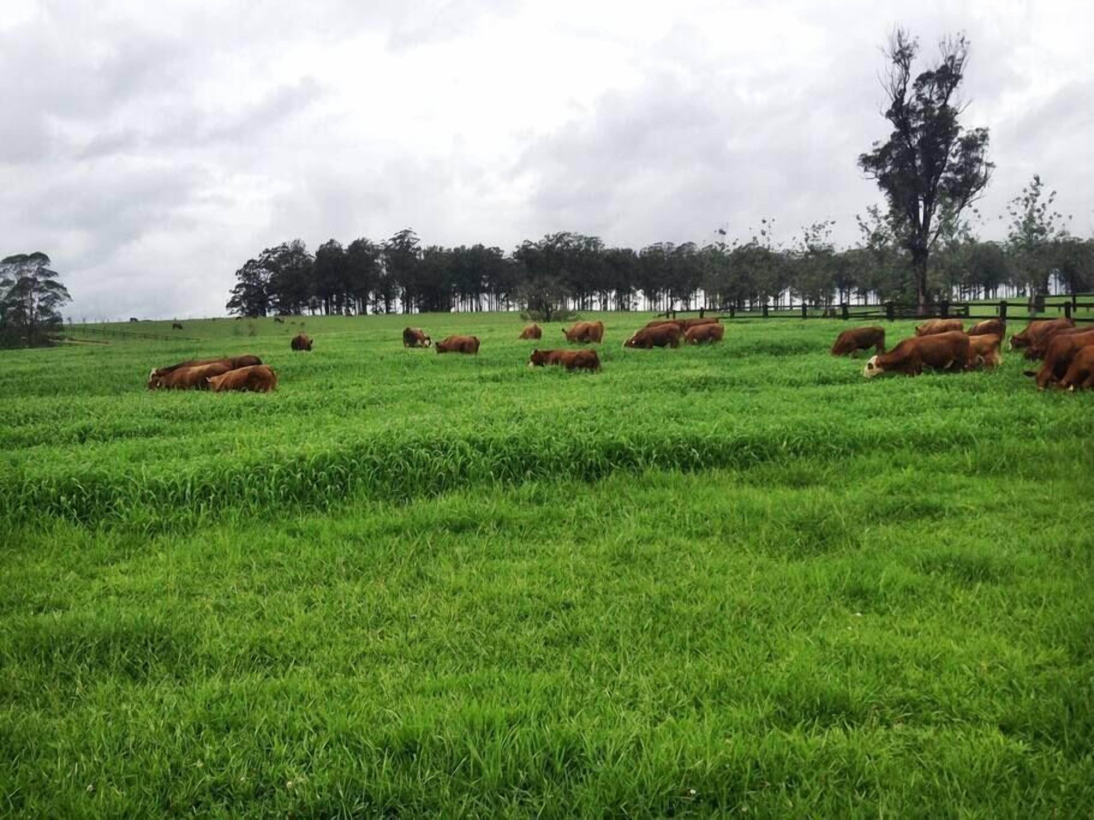 The Ultimate Farm Experience.great for Families.bring Your own Dirt Bikes/horses