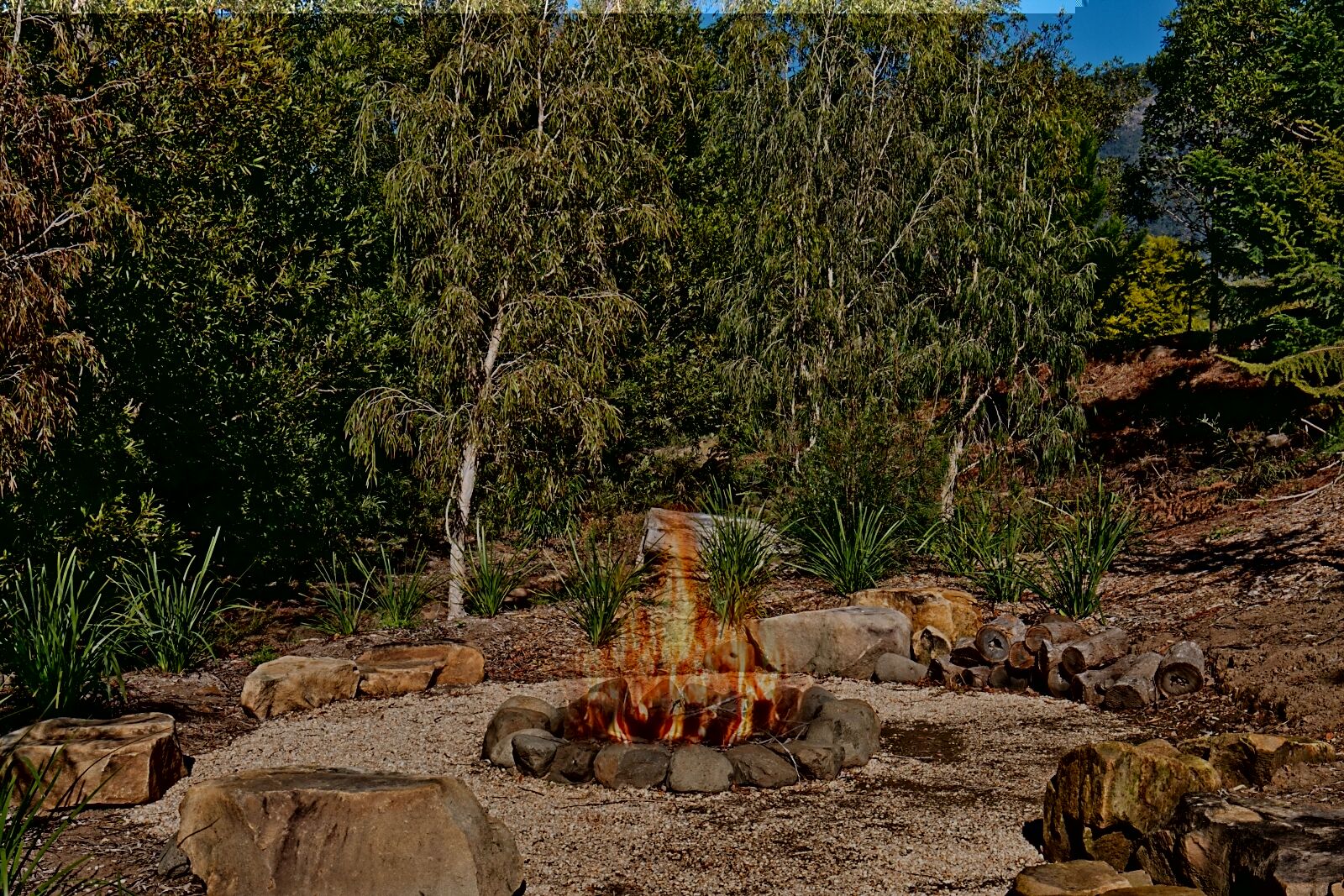 The Ultimate Farm Experience.great for Families.bring Your own Dirt Bikes/horses