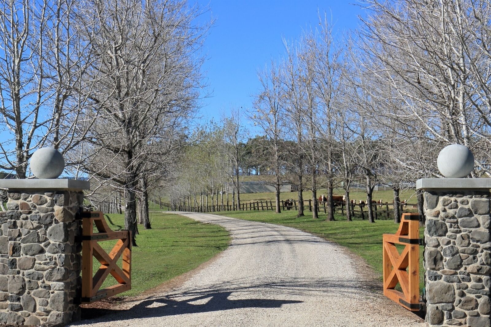 The Ultimate Farm Experience.great for Families.bring Your own Dirt Bikes/horses
