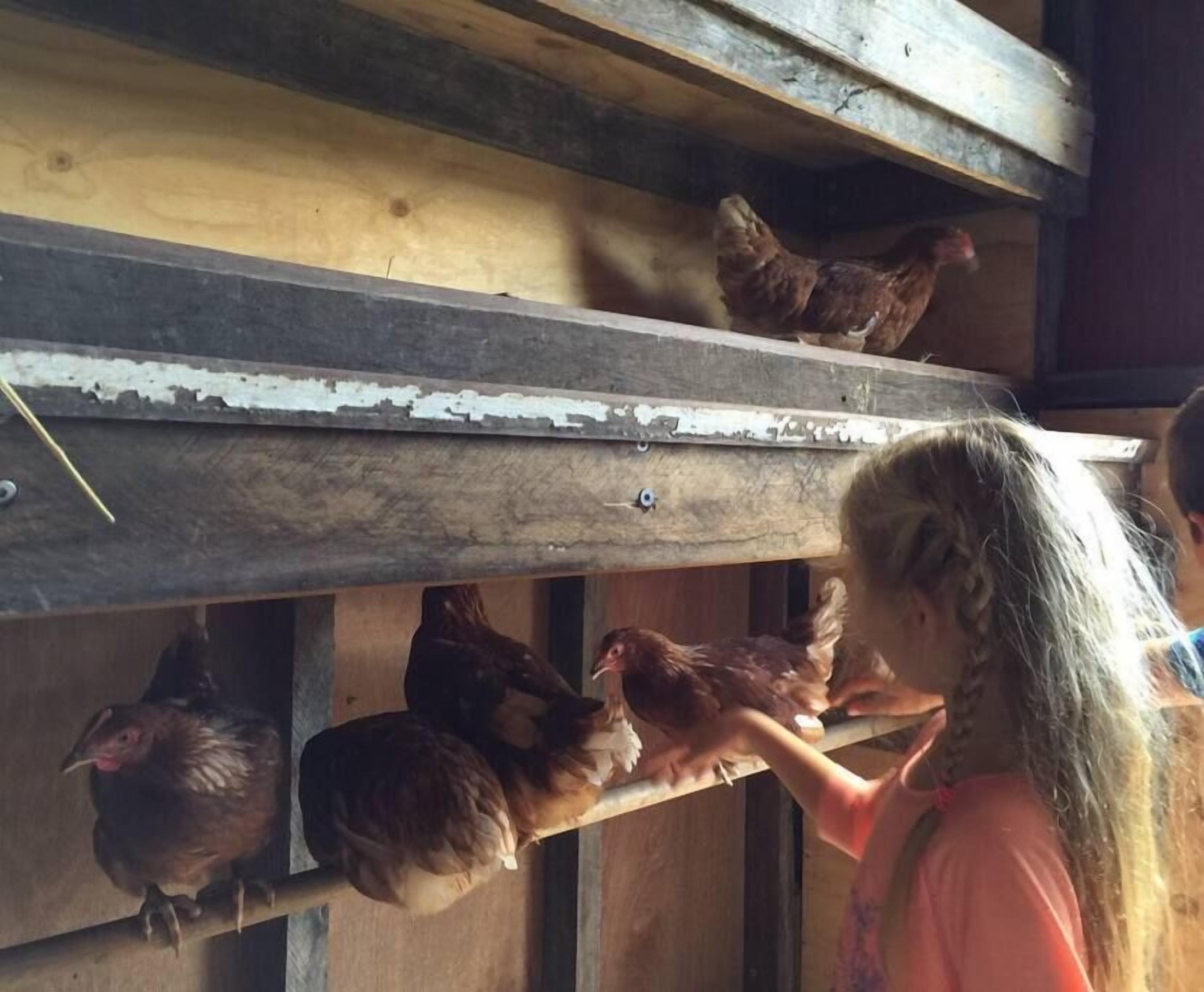 The Ultimate Farm Experience.great for Families.bring Your own Dirt Bikes/horses