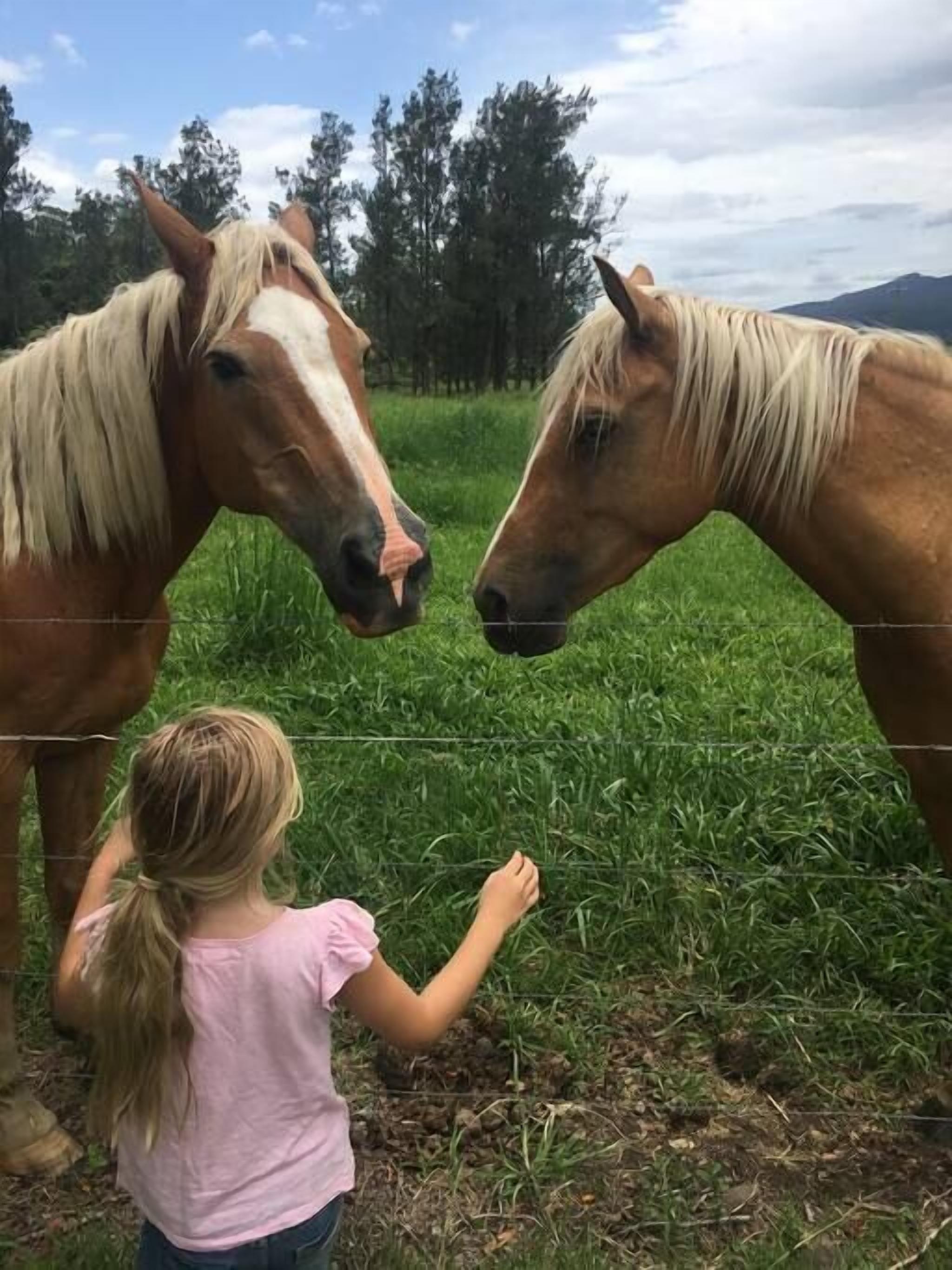 The Ultimate Farm Experience.great for Families.bring Your own Dirt Bikes/horses