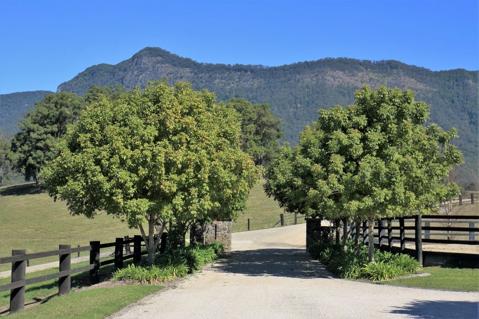 The Ultimate Farm Experience.great for Families.bring Your own Dirt Bikes/horses