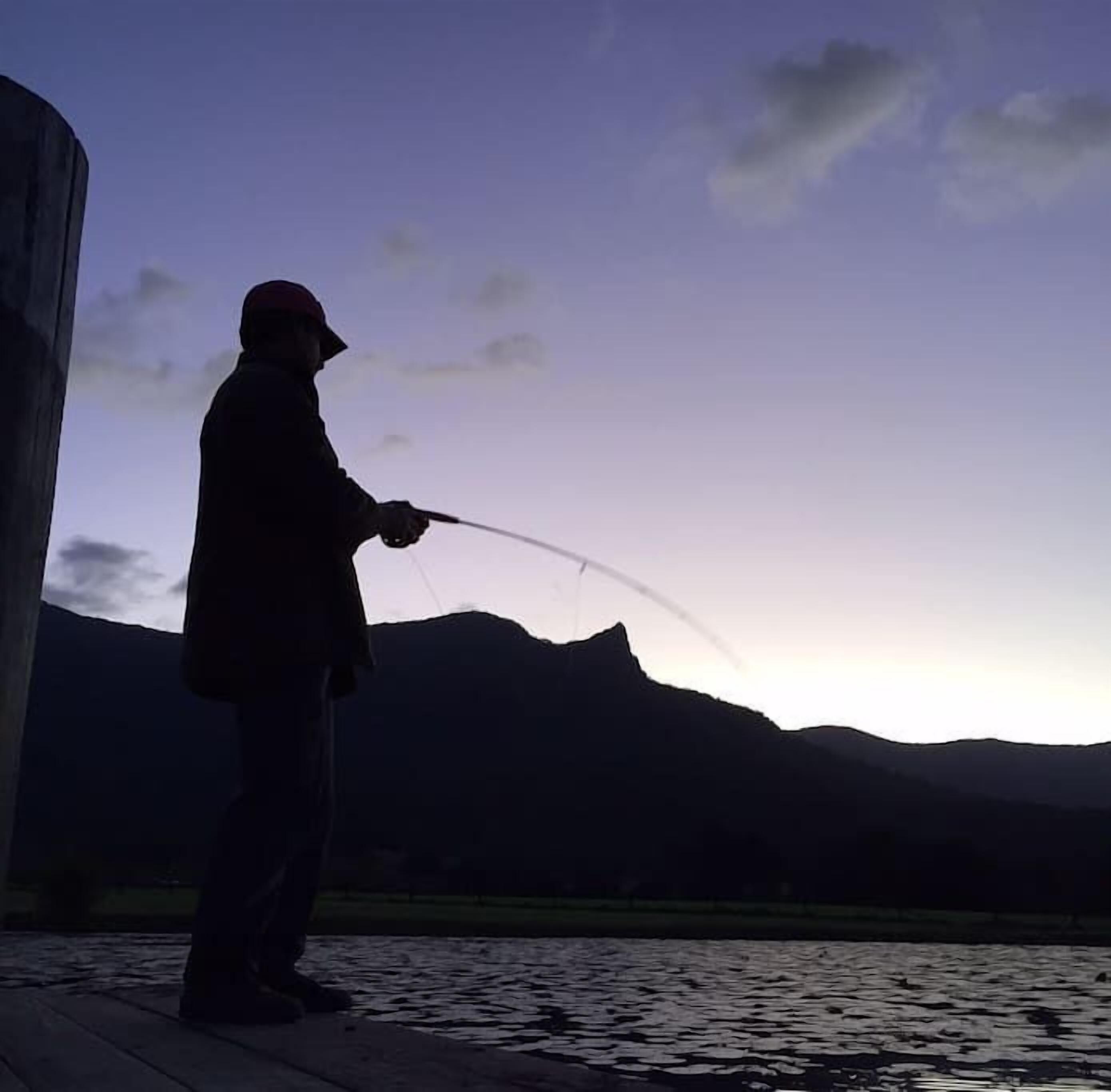 The Ultimate Farm Experience.great for Families.bring Your own Dirt Bikes/horses