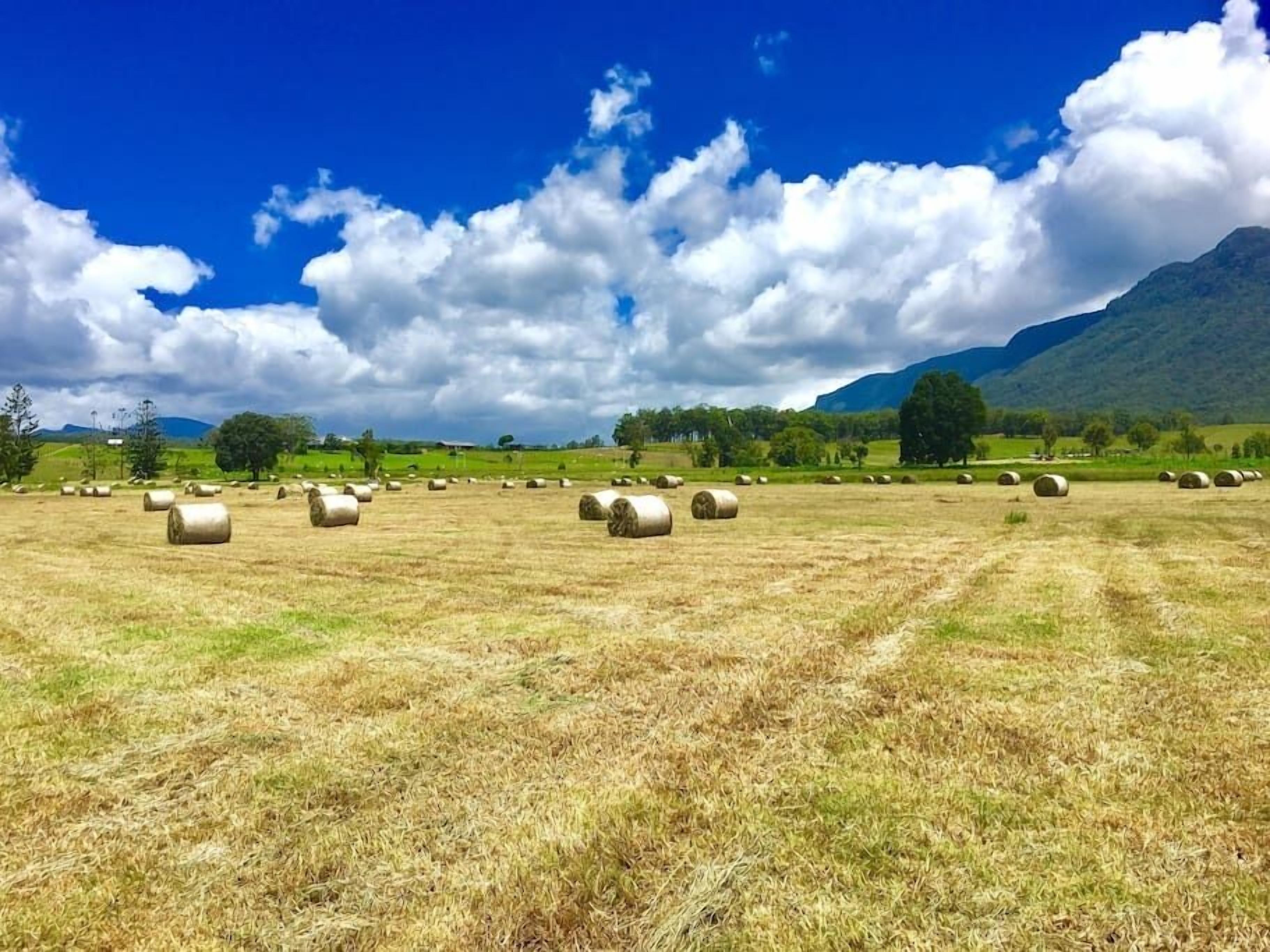 The Ultimate Farm Experience.great for Families.bring Your own Dirt Bikes/horses