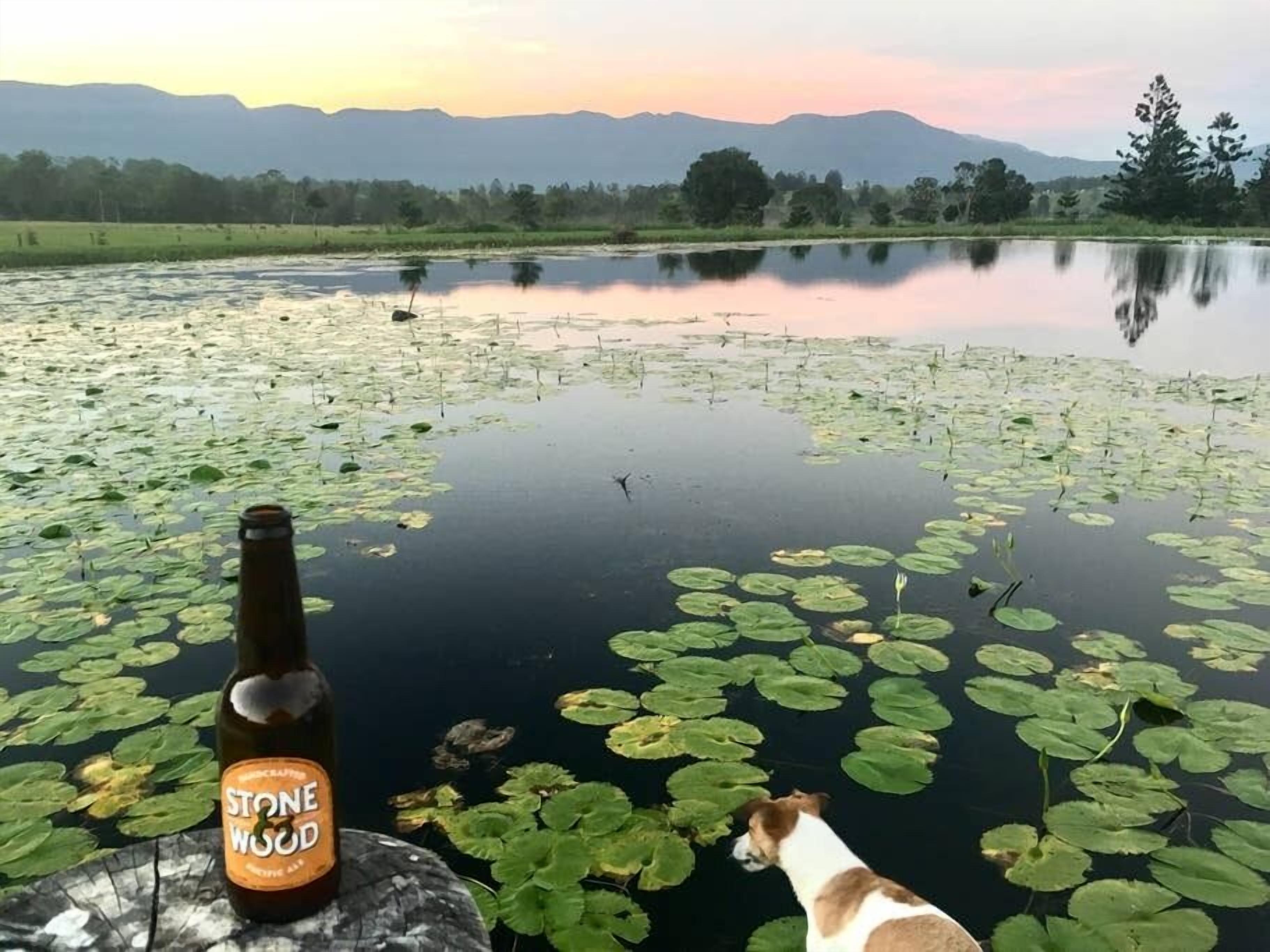 The Ultimate Farm Experience.great for Families.bring Your own Dirt Bikes/horses