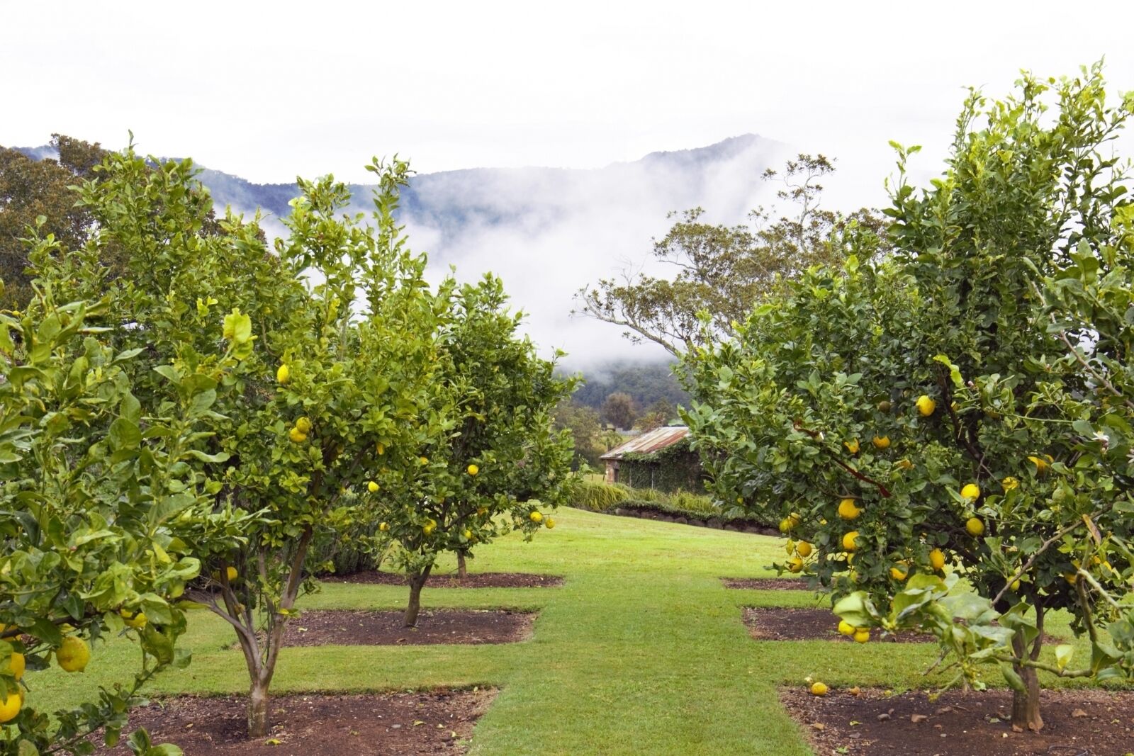 The Ultimate Farm Experience.great for Families.bring Your own Dirt Bikes/horses